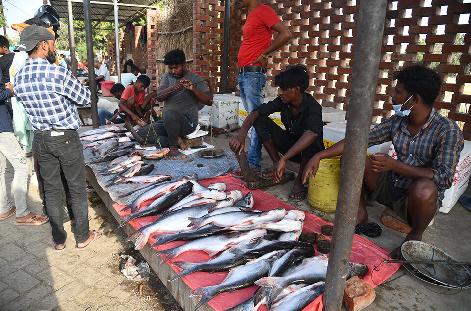 narendrapur-haat-narendrapur-img-03